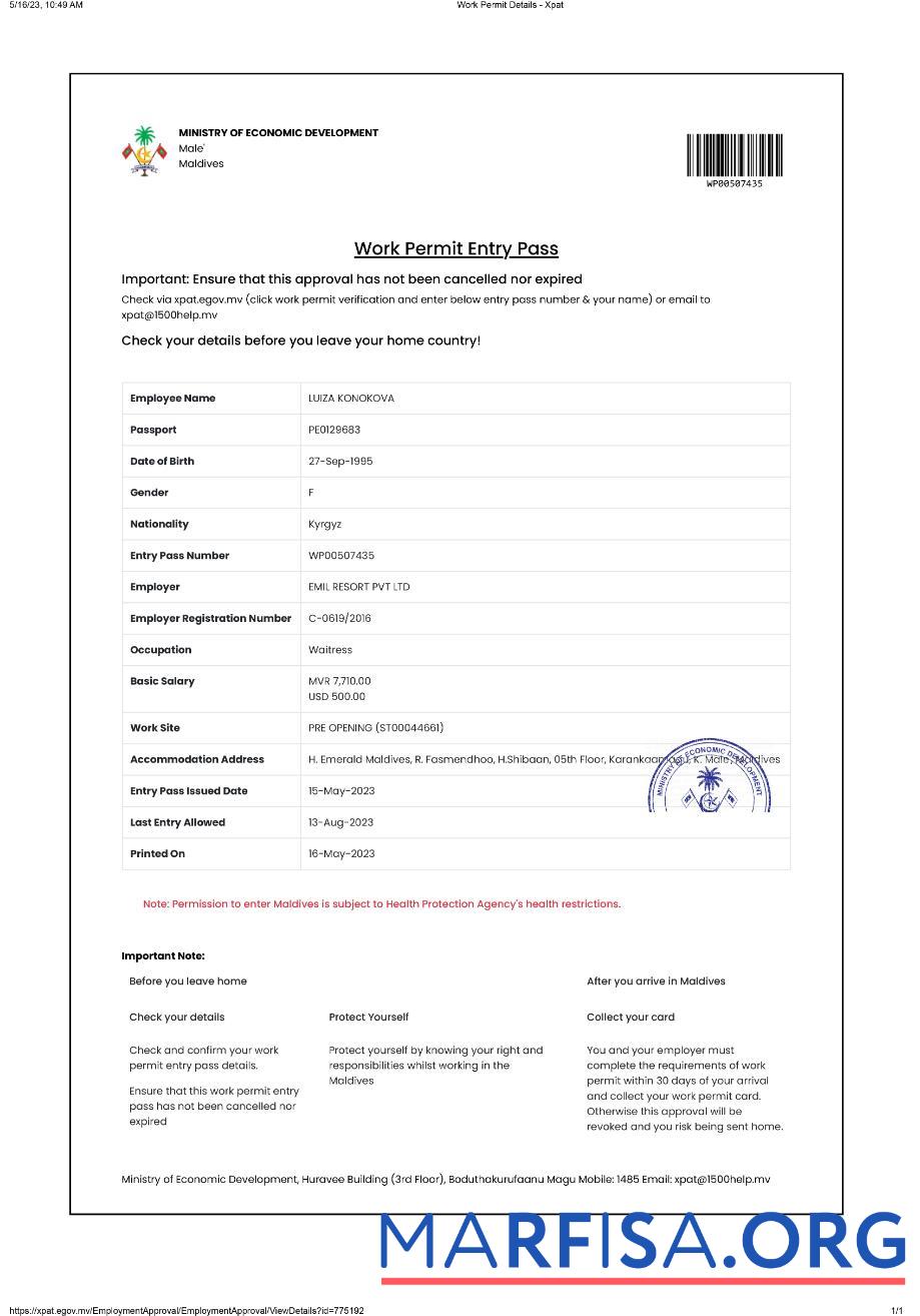 Realistic Maldives work permit sample